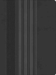 The Maxwell Leadership Bible : New King James Version Charcoal Leathersoft (REV UPD)
