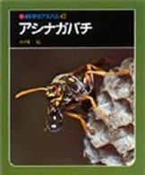 アシナガバチ (科学のアルバム 43)