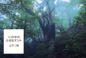 �N���b�N����Ɓu�X�̒��̏����ȃe���g�v�̏ڍ׏��y�[�W�ֈړ����܂�