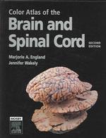 Color atlas of the brain and spinal cord an introduction to normal neuroanatomy. 2nd ed.