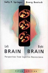 Left brain, right brain : pbk perspectives from cognitive neuroscience 5th ed. A series of books in psychology
