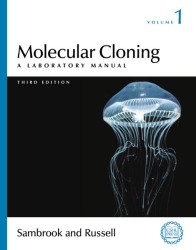 Molecular cloning. 3rd ed. 3 A Laboratory manual.