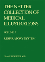 Respiratory system a compilation of paintings depicting anatomy and embryology, physiology, pathology, pathophysiology, and clinical features and treatment of diseases The Ciba collection of medical illustrations