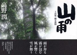 山の雨 上高地・幽玄森閑