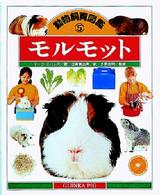 モルモット 動物飼育図鑑