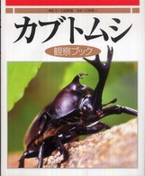 カブトムシ