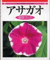 アサガオ