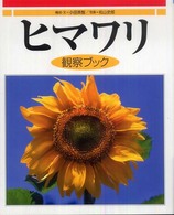 ヒマワリ