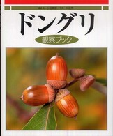 ドングリ