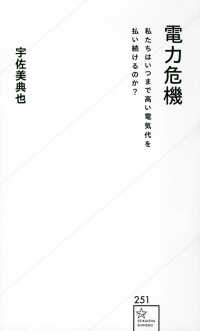 電力危機 私たちはいつまで高い電気代を払い続けるのか? 星海社新書