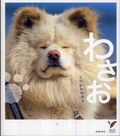 わさお ブサかわ秋田犬
