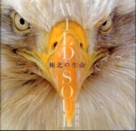 Wild soul 極北の生命