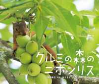 クルミの森のニホンリス 小学館の図鑑NEOの科学絵本