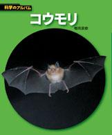 コウモリ