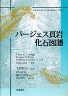バージェス頁岩化石図譜