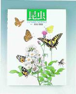 昆虫 小さな虫たちのせかい