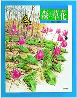 森の草花