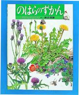 のはらのずかん 野の花と虫たち 絵本図鑑シリーズ ; 12