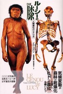 ルーシーの膝 人類進化のシナリオ