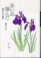 赤い鳥翔んだ 鈴木すずと父三重吉 Y.A.books