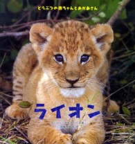 ライオン どうぶつの赤ちゃんとおかあさん