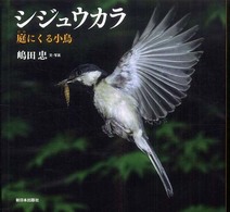 シジュウカラ 庭にくる小鳥 日本の野鳥