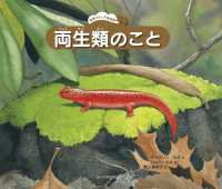 両生類のこと 自然スケッチ絵本館