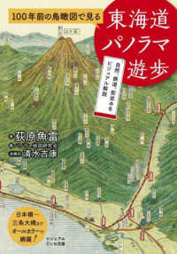 100年前の鳥瞰図で見る東海道パノラマ遊歩 ビジュアルだいわ文庫