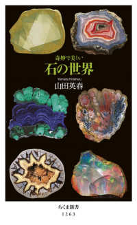奇妙で美しい石の世界 ちくま新書 ; 1263
