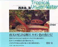 西表島の海 Tropical under-water