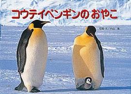 コウテイペンギンのおやこ 【絵本】 親と子の写真絵本  4