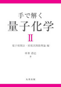 手で解く量子化学II 電子相関法・密度汎関数理論 編(電子書籍版) : electronic bk