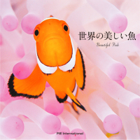 世界の美しい魚 Beautiful Fish