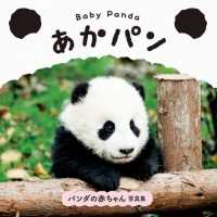 ベビーパンダ あかパン  Baby panda