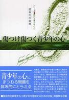 傷つけ傷つく青少年の心 関係性の病理 発達臨床心理学的考察 シリーズ荒れる青少年の心