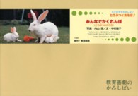 みんなでかくれんぼ 教育画劇のかみしばい  年少向写真かみしばい