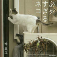 必死すぎるネコ