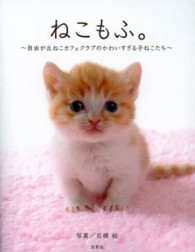 ねこもふ。 自由が丘ねこカフェクラブのかわいすぎる子ねこたち