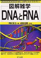 DNAとRNA 図解雑学 : 絵と文章でわかりやすい!