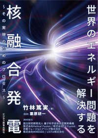 世界のエネルギー問題を解決する核融合発電 : その実現のためのプロセス
