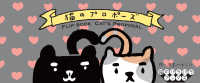 猫のプロポーズ = Cat's Proposal 猫のパラパラブックス
