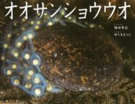 オオサンショウウオ そうえんしゃ 写真のえほん