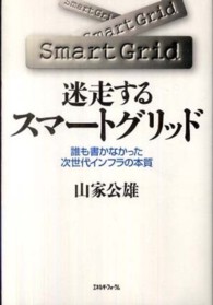 迷走するスマートグリッド 誰も書かなかった次世代インフラの本質