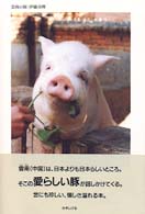 雲南の豚