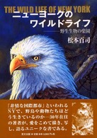 ニューヨークのワイルドライフ 野生生物の楽園