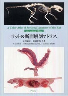 ラットの断面解剖アトラス A color atlas of sectional anatomy of the rat. International ed