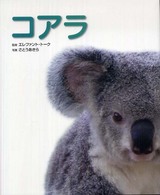 コアラ 写真／図鑑／データブック 動物園【真】定番シリーズ