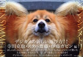 ｼﾞｮﾝ･ｼﾝﾒﾄﾘｰ = John Symmetry