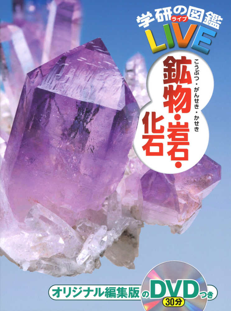 化石鉱物フェア | 紀伊國屋書店 - 本の「今」に会いに行こう
