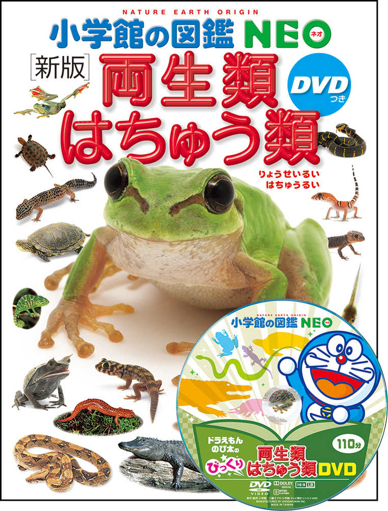 小学館「図鑑NEO」ポイントアップキャンペーン | 紀伊國屋書店 - 本の